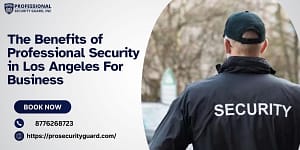 Benefits of Professional Security